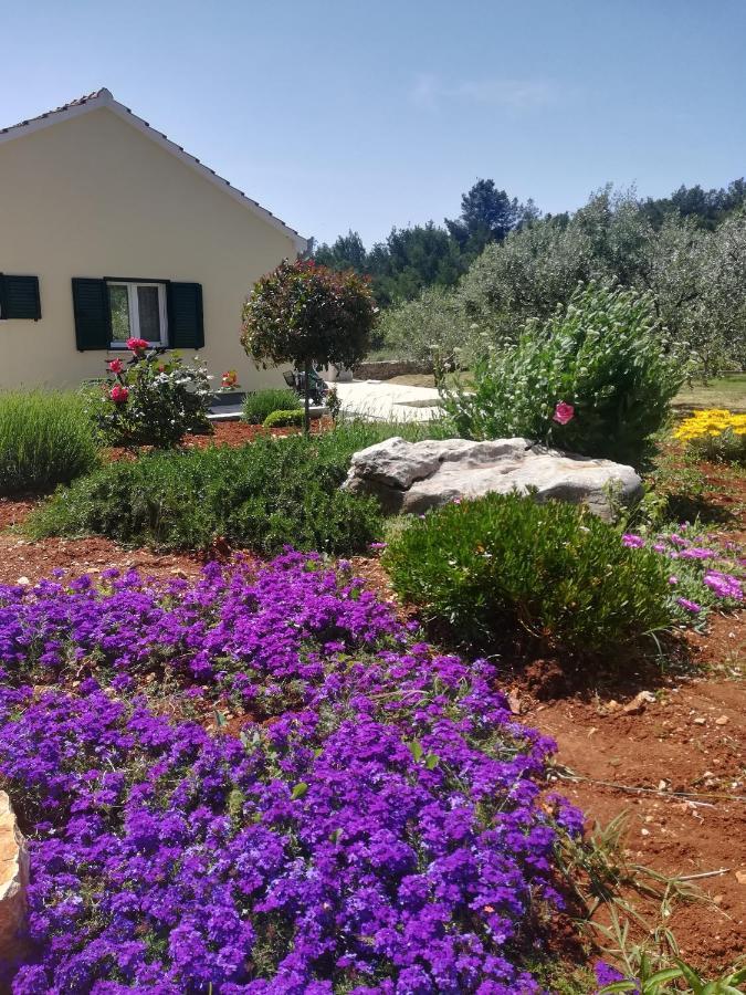 Happy Garden House Holiday home *